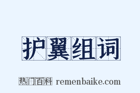 护翼组词是什么意思的图片